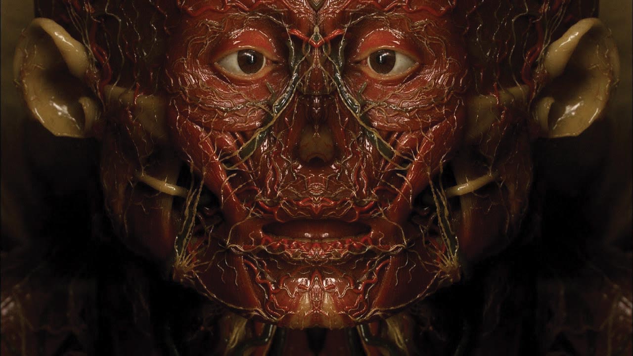Anatomie Petite anatomie des images