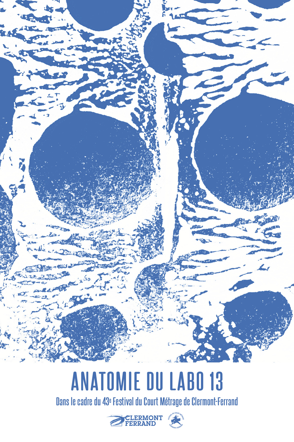 anatomie du labo 13