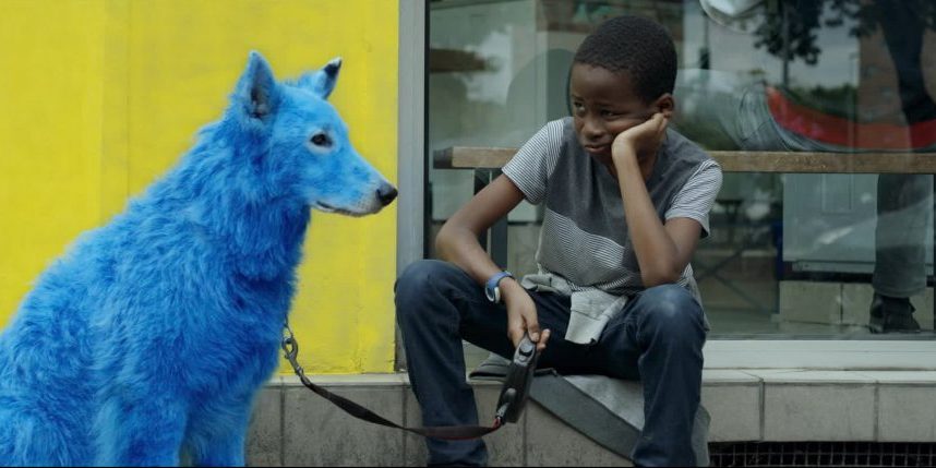 chienbleugrand chienbleugrand